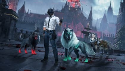 New Original Wolf Buddy Sets Available Now!