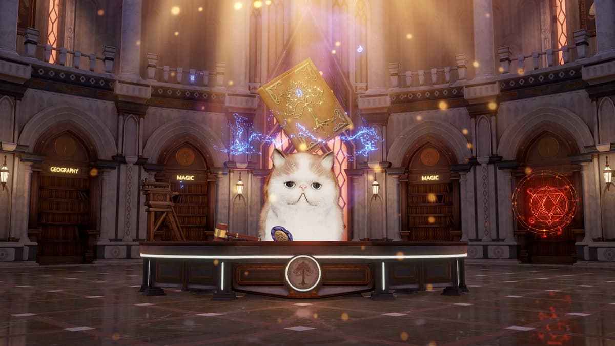 Kitty Court Is in Session! Kitty Court is looking for new judges!